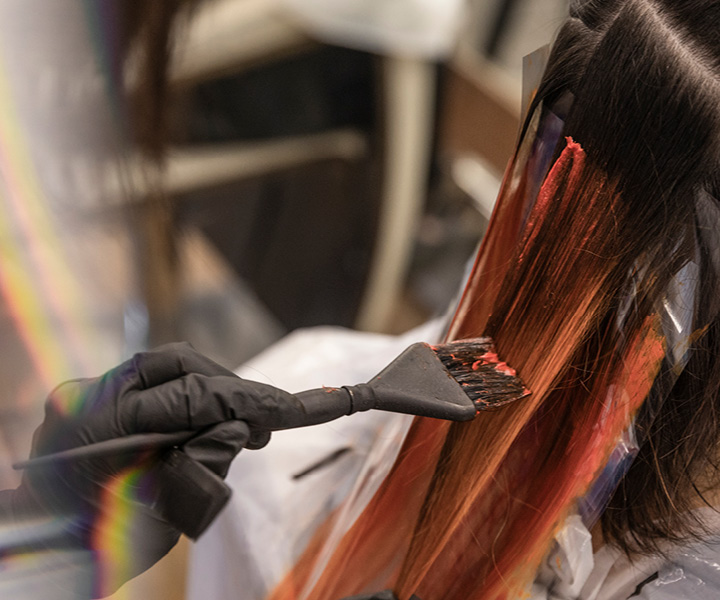 Color Discovery